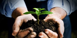 Clariant é eleita pela segunda vez como uma das empresas mais sustentáveis do setor químico brasileiro
