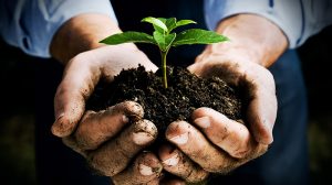 Clariant é eleita pela segunda vez como uma das empresas mais sustentáveis do setor químico brasileiro