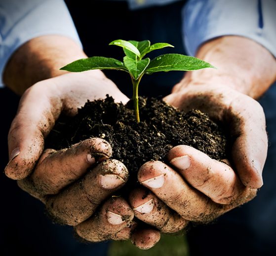 Clariant é eleita pela segunda vez como uma das empresas mais sustentáveis do setor químico brasileiro